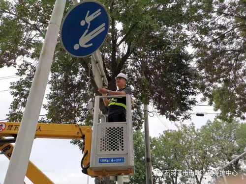 守護城市動脈 大風來襲，石河子市政工人緊急加固交通指示牌